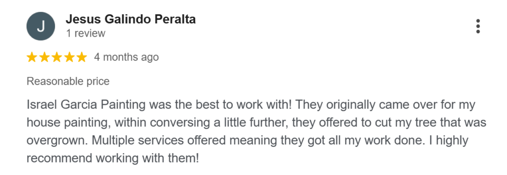 Israel Garcia Painting review by one of their satisfie client